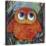 Baby Owl-Oxana Zaika-Stretched Canvas