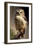 Baby Owl-Vivienne Dupont-Framed Art Print