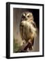 Baby Owl-Vivienne Dupont-Framed Art Print