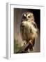 Baby Owl-Vivienne Dupont-Framed Art Print