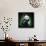 Baby Panda-null-Stretched Canvas displayed on a wall