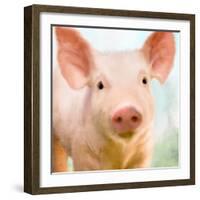 Baby Pig-Kimberly Allen-Framed Art Print