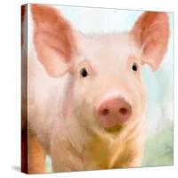 Baby Pig-Kimberly Allen-Stretched Canvas