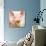 Baby Pig-Kimberly Allen-Art Print displayed on a wall