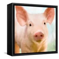 Baby Pig-Kimberly Allen-Framed Stretched Canvas