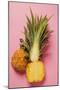 Baby Pineapple, Halved-Foodcollection-Mounted Photographic Print