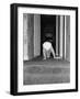 Baby Playing in Hallway-Philip Gendreau-Framed Photographic Print