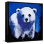 Baby Polar Bear-null-Framed Stretched Canvas