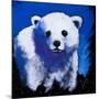 Baby Polar Bear-null-Mounted Art Print