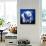 Baby Polar Bear-null-Framed Stretched Canvas displayed on a wall