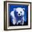 Baby Polar Bear-null-Framed Art Print