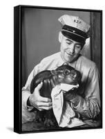 Baby Pygmy Hippo, Gumdrop, Being Rubbed Down Following His Bath-null-Framed Stretched Canvas