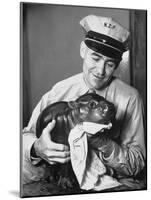 Baby Pygmy Hippo, Gumdrop, Being Rubbed Down Following His Bath-null-Mounted Photographic Print