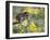 Baby Raccoon in Captivity, Animals of Montana, Bozeman, Montana, USA-James Hager-Framed Photographic Print