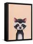 Baby Raccoon-Lucia Stewart-Framed Stretched Canvas