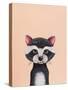 Baby Raccoon-Lucia Stewart-Stretched Canvas
