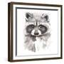 Baby Raccoon-Patricia Pinto-Framed Art Print