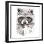 Baby Raccoon-Patricia Pinto-Framed Art Print