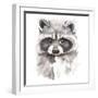 Baby Raccoon-Patricia Pinto-Framed Art Print