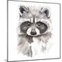 Baby Raccoon-Patricia Pinto-Mounted Art Print