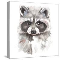 Baby Raccoon-Patricia Pinto-Stretched Canvas