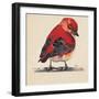 Baby Red Bird I-Patricia Pinto-Framed Premium Giclee Print