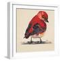 Baby Red Bird I-Patricia Pinto-Framed Premium Giclee Print