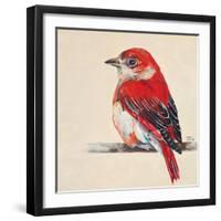 Baby Red Bird II-Patricia Pinto-Framed Art Print