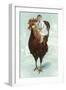 Baby Riding Giant Rooster-null-Framed Art Print