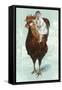 Baby Riding Giant Rooster-null-Framed Stretched Canvas