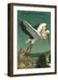 Baby Riding Stork over European Town-null-Framed Art Print