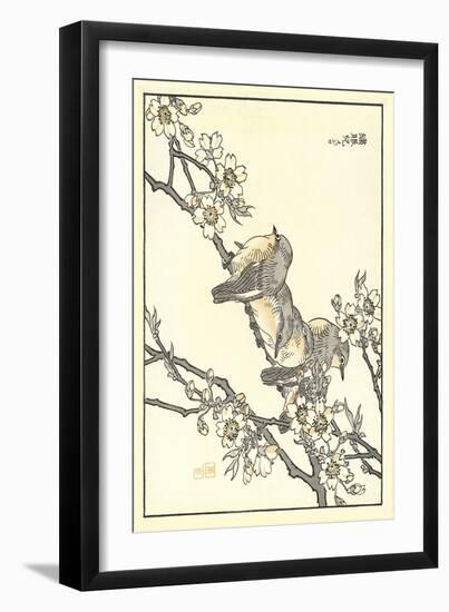 Baby Robins on Cherry Blossoms-null-Framed Art Print