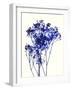 Baby's Breath-Garima Dhawan-Framed Art Print