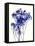 Baby's Breath-Garima Dhawan-Framed Stretched Canvas