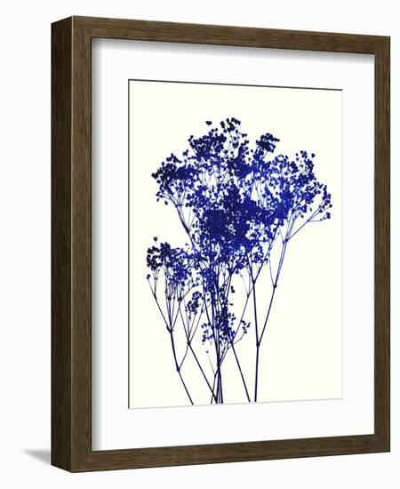 Baby's Breath-Garima Dhawan-Framed Giclee Print