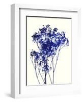 Baby's Breath-Garima Dhawan-Framed Giclee Print