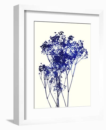 Baby's Breath-Garima Dhawan-Framed Giclee Print