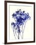 Baby's Breath-Garima Dhawan-Framed Giclee Print