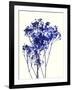 Baby's Breath-Garima Dhawan-Framed Giclee Print