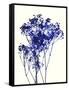 Baby's Breath-Garima Dhawan-Framed Stretched Canvas