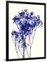 Baby's Breath-Garima Dhawan-Framed Giclee Print