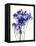 Baby's Breath-Garima Dhawan-Framed Stretched Canvas