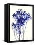 Baby's Breath-Garima Dhawan-Framed Stretched Canvas