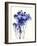 Baby's Breath-Garima Dhawan-Framed Giclee Print