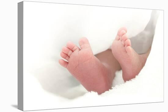 Baby's Feet-Ruth Jenkinson-Stretched Canvas