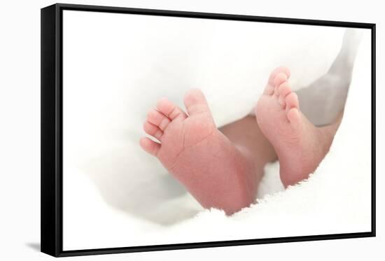 Baby's Feet-Ruth Jenkinson-Framed Stretched Canvas