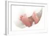 Baby's Feet-Ruth Jenkinson-Framed Premium Photographic Print