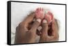 Baby's Feet-Ruth Jenkinson-Framed Stretched Canvas