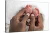 Baby's Feet-Ruth Jenkinson-Stretched Canvas