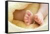 Baby's Feet-Ruth Jenkinson-Framed Stretched Canvas